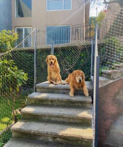 Malla de Seguridad - Malla para Perros