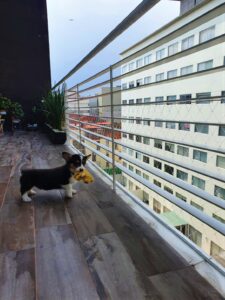 Malla de Seguridad - Malla para Perros