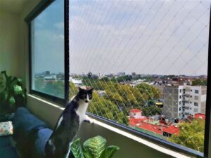 Malla de Seguridad - Malla Protectora para Gatos