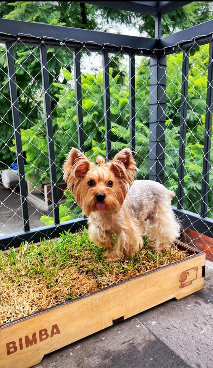 Malla de Seguridad - Malla para Perros