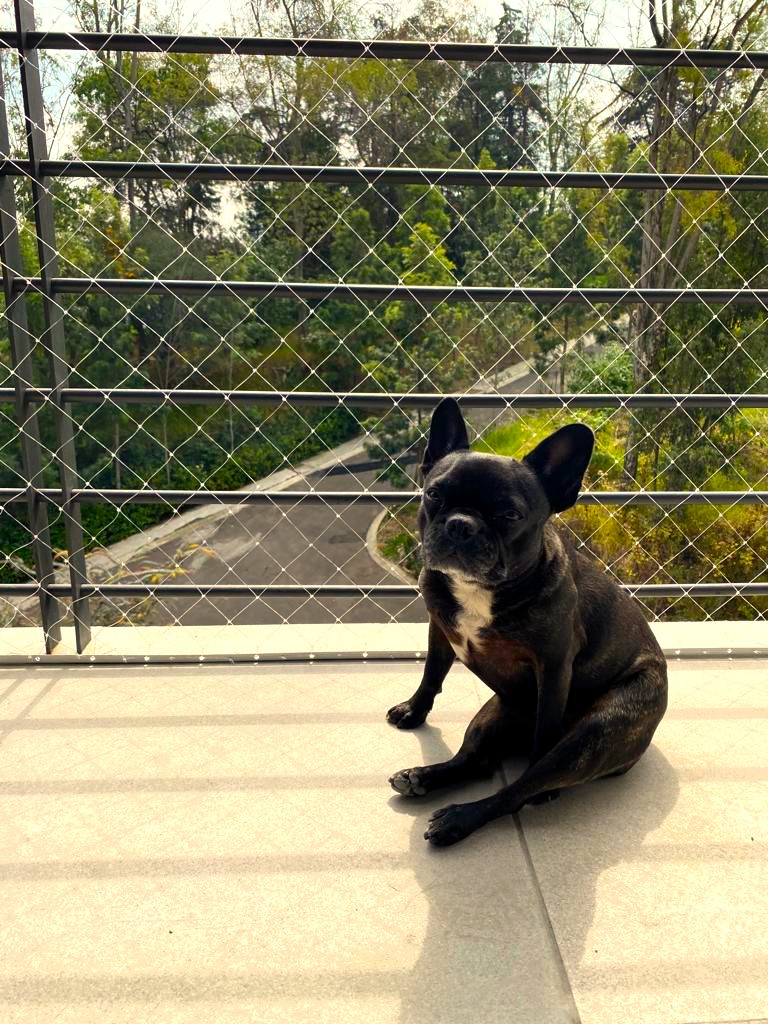 Malla de Seguridad - Malla para Perros
